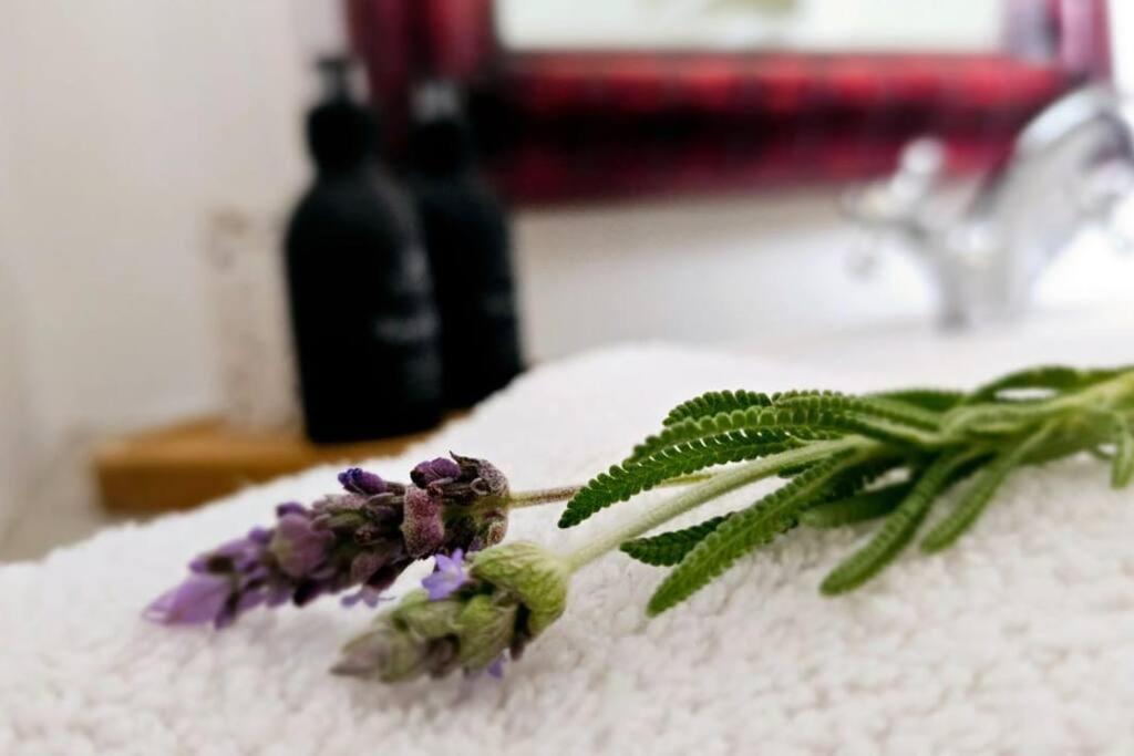 Grey Rabbit Cottage Montagu Esterno foto