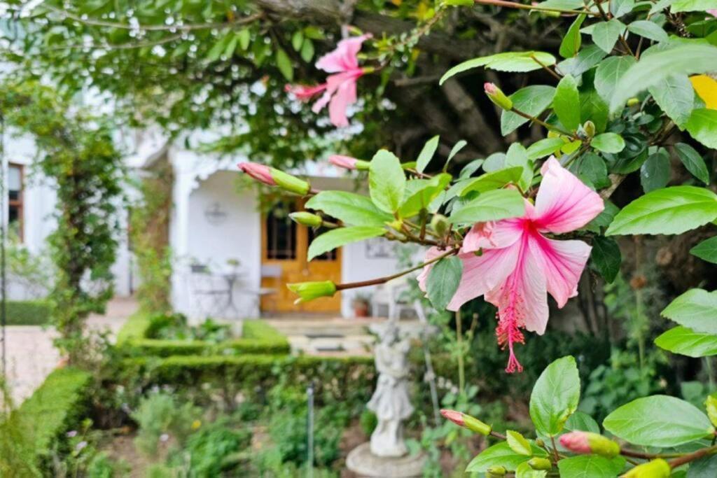 Grey Rabbit Cottage Montagu Esterno foto