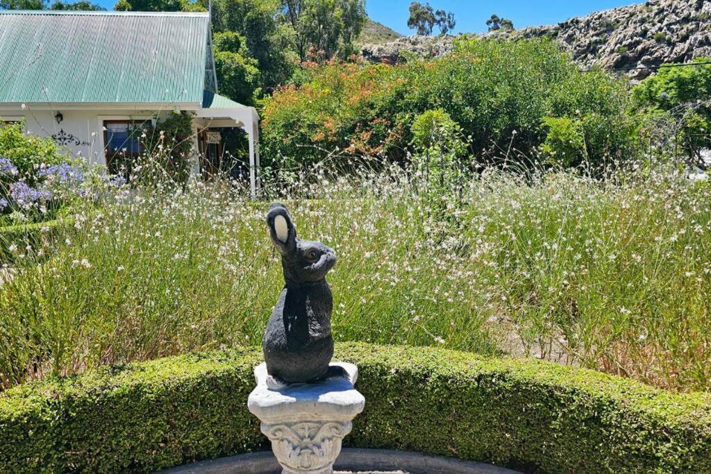 Grey Rabbit Cottage Montagu Esterno foto